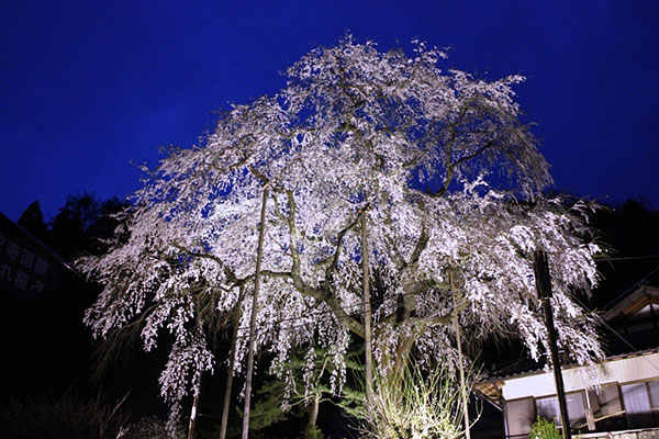 大安寺